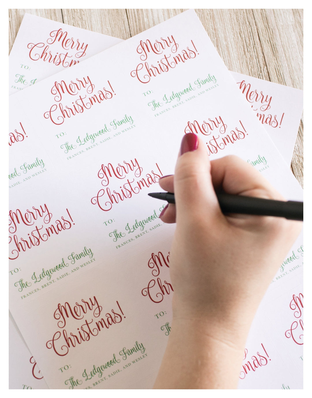 The Charlotte Christmas Sticker